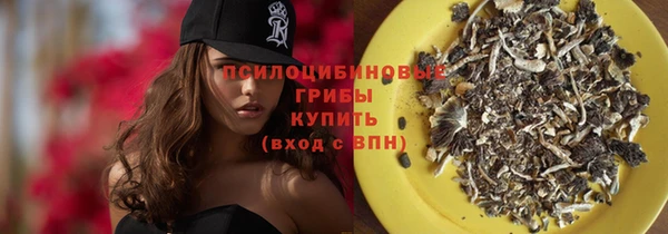 Альфа ПВП Гусев