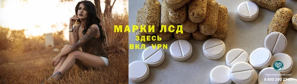 Альфа ПВП Гусев