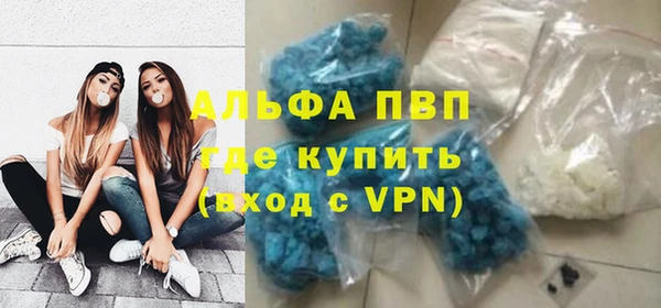 Альфа ПВП Гусев