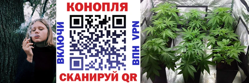 Бошки Шишки Amnesia  Сургут 